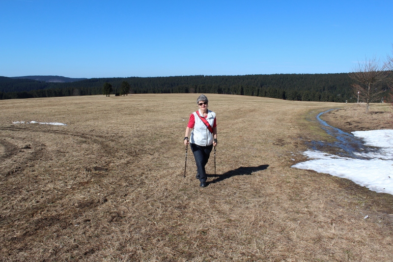 IMG_1464-k (800×533)