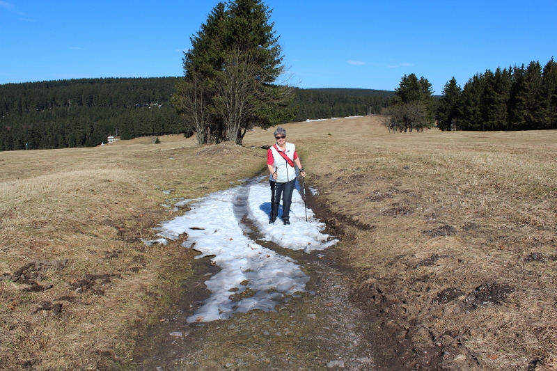 IMG_1497-k (800×533)