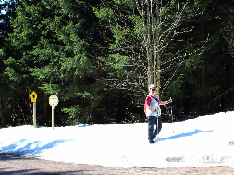 IMG_1536-k (800×600)