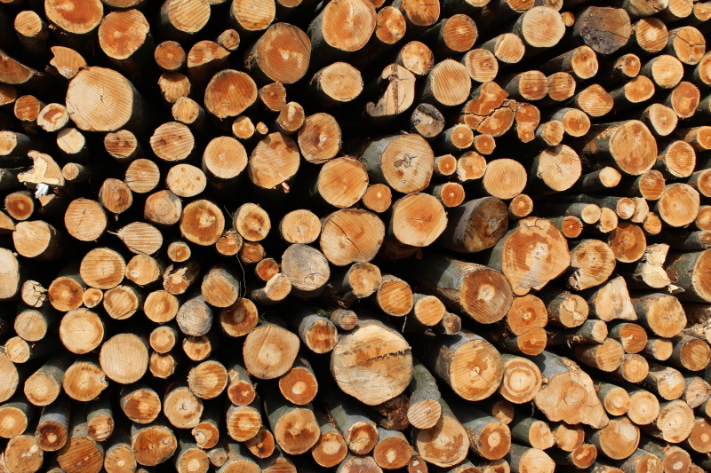 IMG_1640-600-800 (800×533)