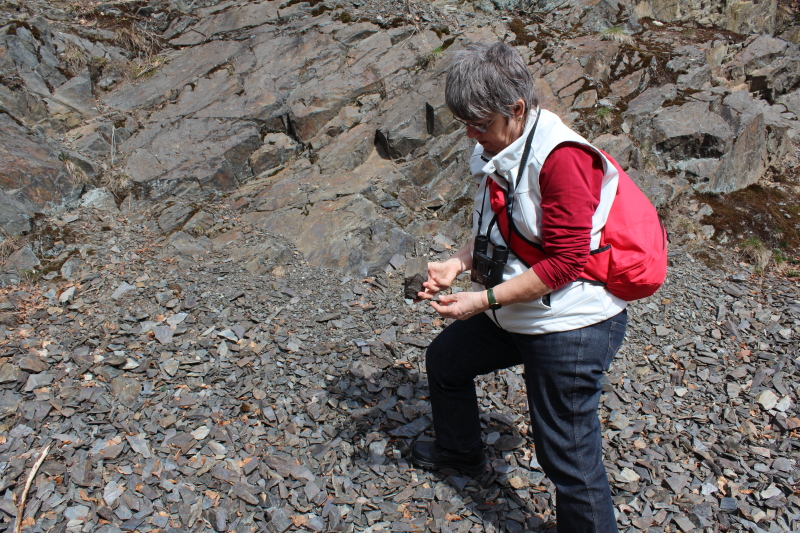 IMG_1690-600-800 (800×533)